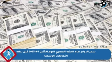 سعر الدولار أمام الجنيه المصري اليوم الاثنين 1-9-2025 قبل بداية التعاملات الرسمية